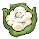 Mmmm cauliflower, everyone loves cauliflower!