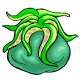 Although slithery, the tentacles are extremely good when eaten raw.