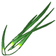 Spring onions are great on their own, in a salad or even grilled.