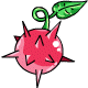 Dont worry, the thorns arent sharp on this berry. But the taste is extremely juicy and sweet.