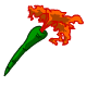 Hmmm this carrot just doesnt quite look right.