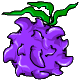 This rubbery berry is quite delicious, however, it is nearly impossible to chew. Careful not to drop it as once it starts bouncing, it never stops.