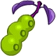 This plant will grow a new pod every week.  At three pods they are ripe to eat, any more and they usually taste a bit sour.